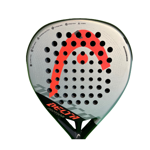 Head Delta motion 2022